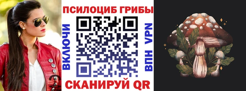 blacksprut ссылка  Тогучин  Галлюциногенные грибы Psilocybine cubensis  магазин   